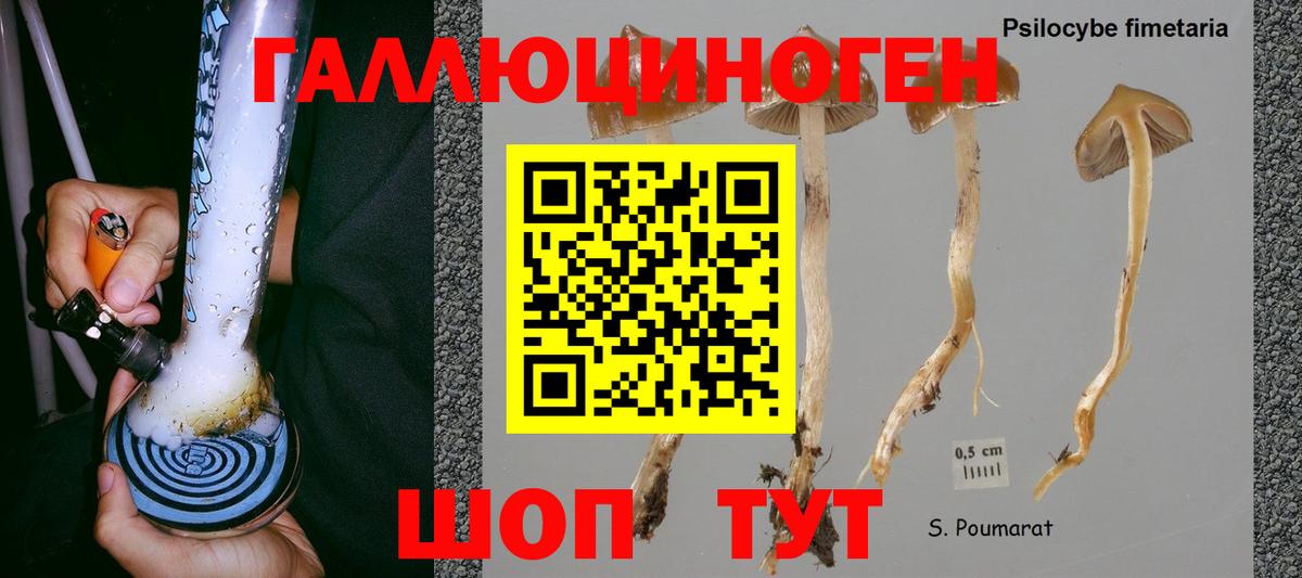 Галлюциногенные грибы Psilocybine cubensis  Галлюциногенные грибы GOLDEN TEACHER  Королёв  сколько стоит  Вход с VPN 